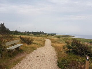 Vakantiehuis Skaven Strand  40