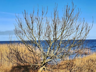 Vakantiehuis Skaven Strand  21