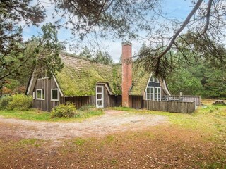 Vakantiehuis Blåvand  31