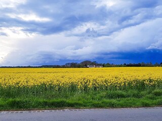 Casa per le vacanze Udsholt Strand Registrazione all'aperto 2