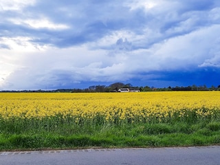 Ferienhaus Udsholt Strand Außenaufnahme 2