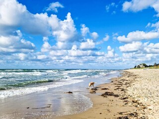 Maison de vacances Udsholt Strand  12