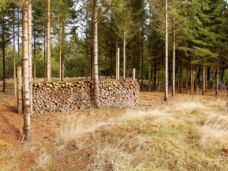 Holiday house Houstrup  23