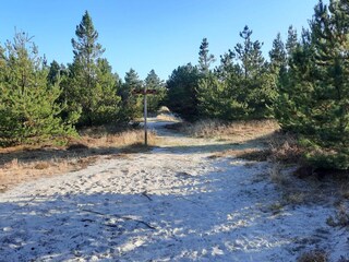 Ferienhaus Houstrup  16