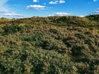 Vakantiehuis Houstrup  21