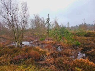 Vakantiehuis Houstrup  32