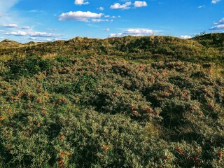 Vakantiehuis Houstrup  34