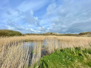 Ferienhaus Houstrup  35