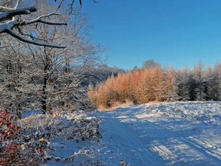 Vakantiehuis Rønde  37