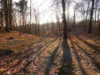 Vakantiehuis Rønde  6