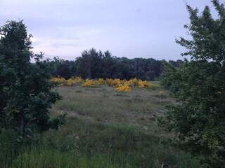 Vakantiehuis Rønde  7