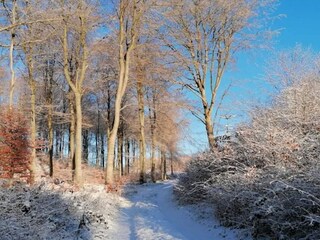 Vakantiehuis Rønde  8