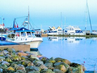 Casa per le vacanze Hejlsminde  16