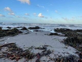 Vakantiehuis Kelstrup Strand  31