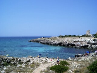 Appartement Torre Suda Environnement 31