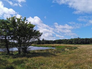 Vakantiehuis Vejers Strand  24