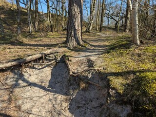 Ferienhaus Henne Strand  16