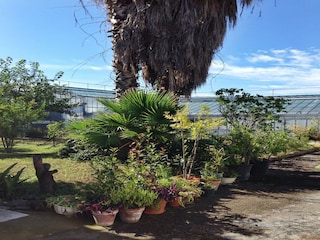 Maison de vacances Boscoreale Enregistrement extérieur 5