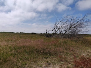 Ferienhaus Bjerregård  31