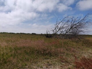 Holiday house Bjerregård  23