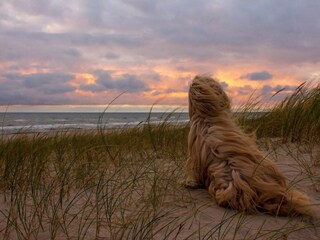 Holiday house Bjerregård  33