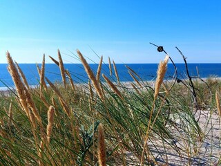 Casa per le vacanze Bjerregård  36