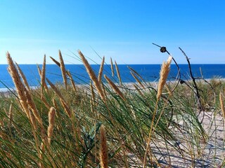 Vakantiehuis Bjerregård  22