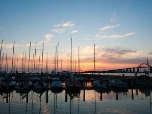 4 Personen Ferienhaus in Rudkøbing-By Traum