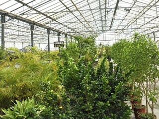 Ferienhaus Boscoreale Umgebung 25