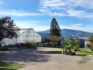 Vakantiehuis Boscoreale Buitenaudio-opname 7