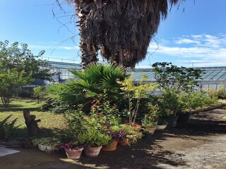 Casa de vacaciones Boscoreale Grabación al aire libre 9