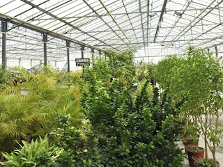 Holiday house Boscoreale Environment 34