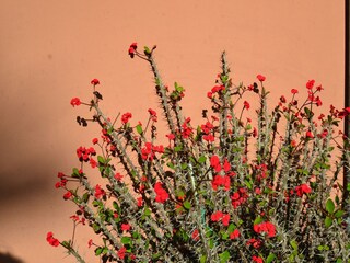 Casa per le vacanze Pompei  40