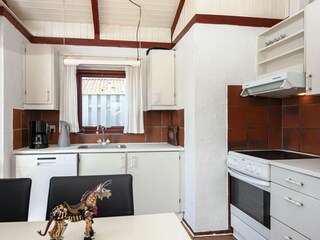 Ferienhaus Bork Havn  3