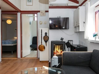 Ferienhaus Bork Havn  3