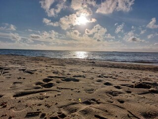 Vakantiehuis Bork Havn  7