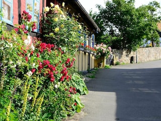 Ferienpark Allinge  4