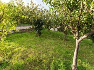 Casa per le vacanze Campobasso Registrazione all'aperto 3