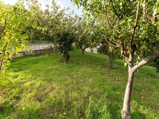 Vakantiehuis Campobasso Buitenaudio-opname 3