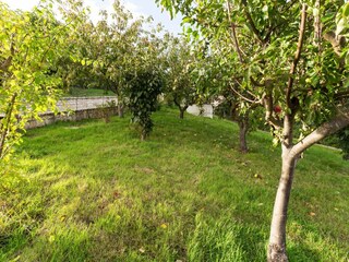Appartamento Campobasso Registrazione all'aperto 8