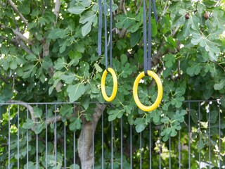 Appartement Campobasso  23