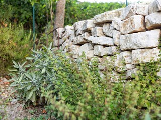 Appartamento Campobasso  25