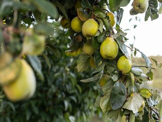 Appartamento Campobasso  30