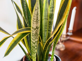 Appartamento Campobasso  32