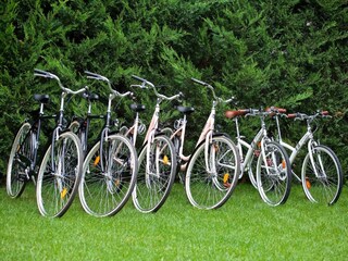 Maison de vacances Brtonigla  28