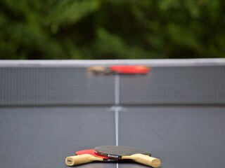 Maison de vacances Brtonigla  32