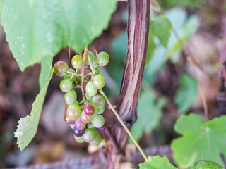 Appartement Campobasso  26