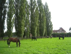 Ferienwohnung Pferdehof Homann - Lüdinghausen - image1