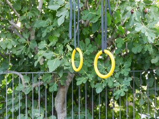 Appartamento Campobasso  24