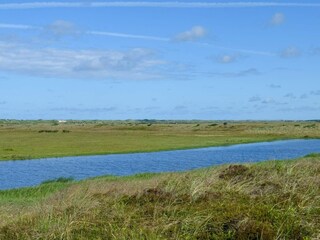 Casa per le vacanze Nymindegab  22
